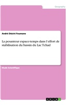 André Désiré Foumane - La pesanteur espace-temps dans l'effort de stabilisation du bassin du Lac Tchad