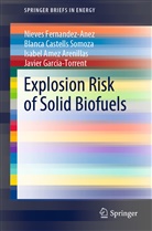 AME, Isabel Amez Arenillas, Are, Isabel Amez Arenillas, Blanc Castells Somoza, Blanca Castells Somoza... - Explosion Risk of Solid Biofuels