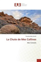 Yacouba baba Konaté - La Chute de Mes Collines
