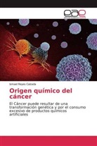 Ismael Reyes Calzada - Origen químico del cáncer