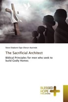 Steve Oladunni Ogo-Olorun Ayorinde - The Sacrificial Architect