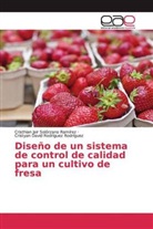 Rodríguez Rodríg, Cristyan David Rodríguez Rodríguez, Cristhian Jai Solórzano Ramírez, Cristhian Jair Solórzano Ramírez - Diseño de un sistema de control de calidad para un cultivo de fresa