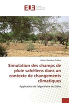 Hubert Gbolahan Onibon - Simulation des champs de pluie sahéliens dans un contexte de changements climatiques
