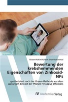 Ghasem Rahimi Kalateh Shah Mohammad - Bewertung der krebshemmenden Eigenschaften von Zinkoxid-NPs