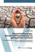 Dmitr Karpov, Dmitri Karpov, Vladimir Litunovsky - Wasserstoffenergie: Wasserstoffspeicherung im gekoppelten Zustand