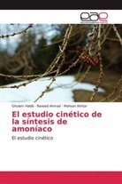 Navee Ahmad, Naveed Ahmad, Mohsan Akhtar, Ghula Habib, Ghulam Habib - El estudio cinético de la síntesis de amoníaco