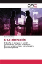 Daniel Stoller-Schai - E-Colaboración