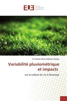 Dr Thérèse Marie Ndébane Ndiaye, Thérèse Marie Ndébane Ndiaye - Variabilité pluviométrique et impacts