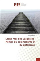 Ogo Ubabukoh - Large mer des Sargasses : Thèmes du colonialisme et du patriarcat