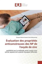 Ghasem Rahimi Kalateh Shah Mohammad - Évaluation des propriétés anticancéreuses des NP de l'oxyde de zinc