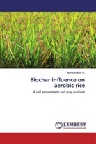 Arunkumar B R, Arunkumar B. R. - Biochar influence on aerobic rice