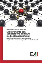 Sai El-sheikh, Said El-sheikh, Ade Essa, Adel Essa, Hosam Saleh - Miglioramento della cementazione dei rifiuti mediante nanomateriali