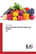 Vinitha S Babu, Vinitha S. Babu - Una raccolta di frutti nativi ed esotici