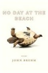 John Brehm - No Day At the Beach