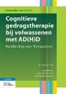 Sanne Vink - Cognitieve Gedragstherapie Bij Volwassenen Met Ad(h)D
