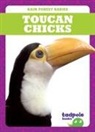 Genevieve Nilsen - Toucan Chicks