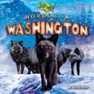 Rachel Rose - Horror in Washington
