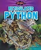 Craig Boutland, Tbd - Reticulated Python