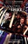 Bryan Edward Hill, Bryan Edward Hill, Joss Whedon, Joss Whedon, Gleb Melnikov, Joss Whedon - Angel & Spike Vol. 1 SC