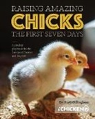 Scott Gillingham - Raising Amazing Chicks: The First Seven Day