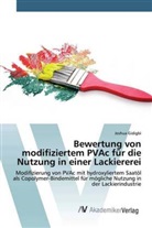 Joshua Gidigbi - Bewertung von modifiziertem PVAc für die Nutzung in einer Lackiererei