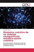 Leonardo Castro - Dinámica cuántica de un sistema nanopartícula metálica-punto cuántico