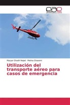Mazya Ghadiri Nejad, Mazyar Ghadiri Nejad, Matina Ghasemi - Utilización del transporte aéreo para casos de emergencia