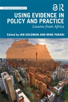 Ian Pabari Goldman, Ian Goldman, Mine Pabari - Using Evidence in Policy and Practice