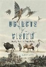 A. Joan Saab, A. Joan (Susan B. Anthony Professor Saab, Joan Saab - Objects of Vision
