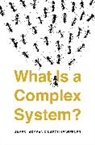 J. Ladyman, J. Wiesner Ladyman, James Ladyman, James Wiesner Ladyman, K. Wiesner, Karoline Wiesner - What Is a Complex System?