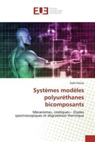 Nabil Ketata - Systèmes modèles polyuréthanes bicomposants