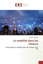 Lyamine Guezouli - La mobilité dans les réseaux