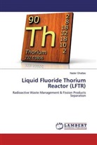 Nader Ghattas - Liquid Fluoride Thorium Reactor (LFTR)