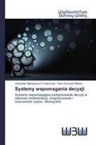 Petro Ivanovych Bidyuk, Olexander Mykolayovych Trofymchuk - Systemy wspomagania decyzji