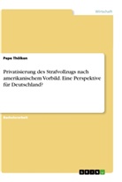 Pepe Thölken - Privatisierung des Strafvollzugs nach amerikanischem Vorbild. Eine Perspektive für Deutschland?
