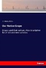 C Mitzky &amp; Co, C. Mitzky &amp; Co. - Our Native Grape