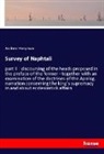 Andrew Honyman - Survey of Naphtali
