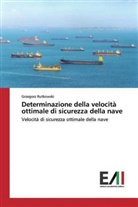 Grzegorz Rutkowski - Determinazione della velocità ottimale di sicurezza della nave