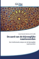 Jesús Gerardo Martínez del Castillo - De aard van de bijvoeglijke naamwoorden