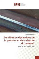 Antonios Antoniou - Distribution dynamique de la pression et de la densité du courant