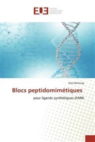 Sven Breitung - Blocs peptidomimétiques