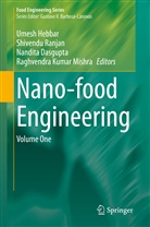Nandita Dasgupta, Nandita Dasgupta et al, Umesh Hebbar, Raghvendra Kumar Mishra, Shivend Ranjan, Shivendu Ranjan - Nano-food Engineering