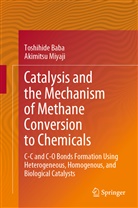 Toshihid Baba, Toshihide Baba, Akimitsu Miyaji - Catalysis and the Mechanism of Methane Conversion to Chemicals