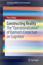 Piero Mella - Constructing Reality