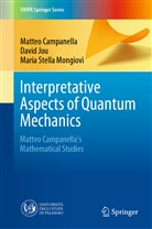 Matte Campanella, Matteo Campanella, Dav Jou, Davi Jou, David Jou, Maria Stel Mongiovì... - Interpretative Aspects of Quantum Mechanics