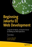 Lucian Manelli, Luciano Manelli, Giulio Zambon - Beginning Jakarta EE Web Development