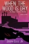 Joseph Cillo Jr. - When the Wood Is Dry