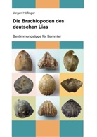 Jürgen Höflinger - Die Brachiopoden des deutschen Lias