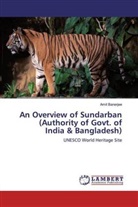 Amit Banerjee - An Overview of Sundarban(Authority of Govt. ofIndia & Bangladesh)