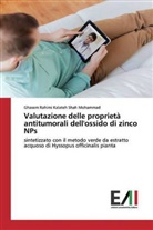 Ghasem Rahimi Kalateh Shah Mohammad - Valutazione delle proprietà antitumorali dell'ossido di zinco NPs